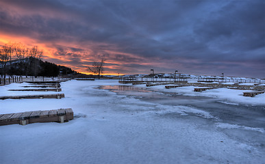 Image showing Cypress Hills Alberta