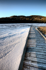 Image showing Cypress Hills Alberta