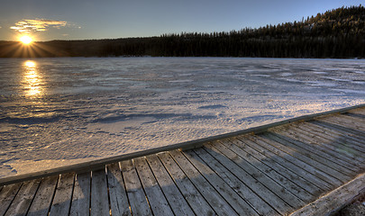 Image showing Cypress Hills Alberta