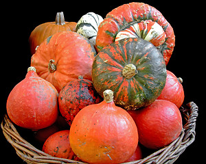 Image showing Pumpkins in a basket