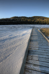 Image showing Cypress Hills Alberta