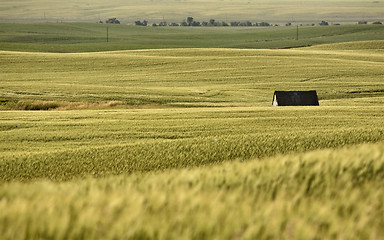 Image showing Rural Saskatchewan