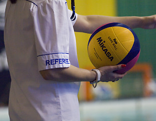 Image showing Waterpolo referee