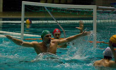 Image showing Dynamo(Moscow) vs Sintez (Kazan) of waterpolo