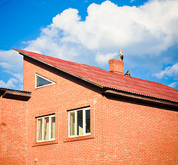 Image showing beautiful stork stand on roof