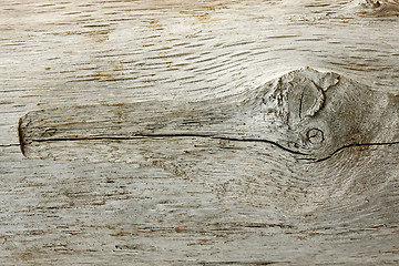 Image showing Detail of old wooden log