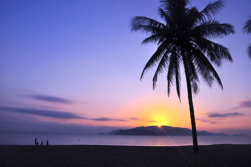 Image showing Landscape on beach