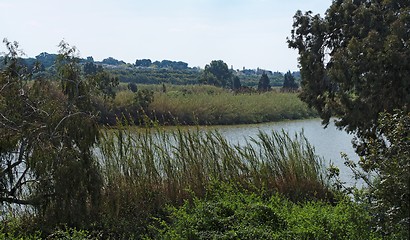 Image showing Narrow river flows between wooded banks