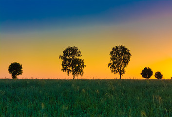 Image showing Sunset over trees