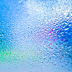 Image showing drops on glass after rain