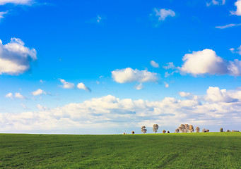 Image showing Green field