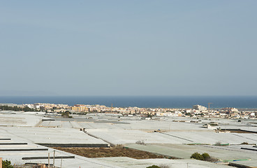 Image showing Nothing but greenhouses