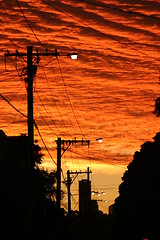 Image showing Electricty lines at sunset