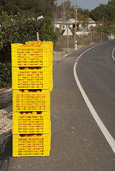 Image showing Orange crates