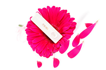 Image showing Positive pregnancy test and pink gerbera