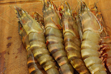 Image showing big fresh tiger prawns, king prawns, shrimp