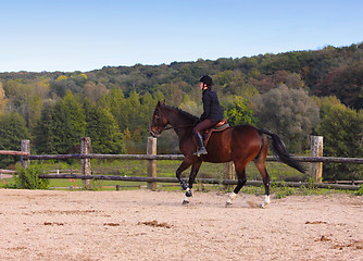 Image showing pretty young woman rider in a competition riding