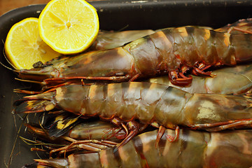 Image showing big fresh tiger prawns, king prawns, shrimp