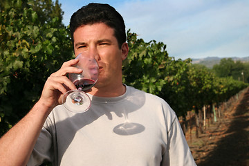 Image showing Wine tasting