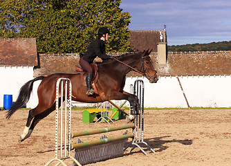 Image showing pretty young woman rider in a competition riding