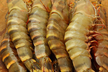 Image showing big fresh tiger prawns, king prawns, shrimp