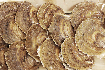 Image showing oysters in a wooden box on a white background