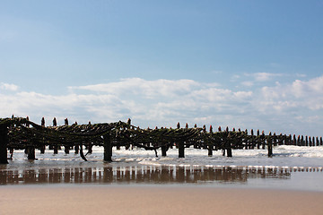 Image showing mussel farming on the coast of opal in the north of France