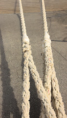 Image showing Rope for mooring a boat to a pier