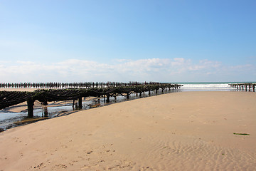 Image showing mussel farming on the coast of opal in the north of France