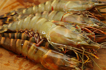 Image showing big fresh tiger prawns, king prawns, shrimp