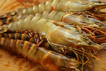 Image showing big fresh tiger prawns, king prawns, shrimp