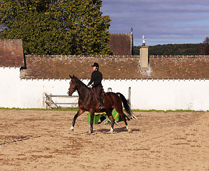 Image showing pretty young woman rider in a competition riding