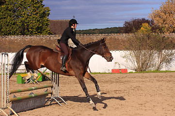 Image showing pretty young woman rider in a competition riding