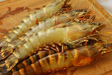 Image showing big fresh tiger prawns, king prawns, shrimp