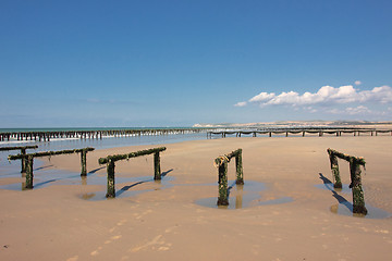 Image showing mussel farming on the coast of opal in the north of France