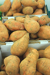 Image showing fresh sweet potatoes on a market stall