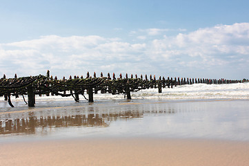 Image showing mussel farming on the coast of opal in the north of France