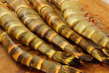 Image showing big fresh tiger prawns, king prawns, shrimp