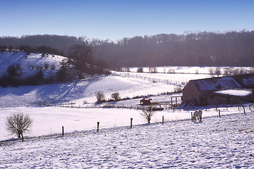 Image showing campaign under the sun and winter snow