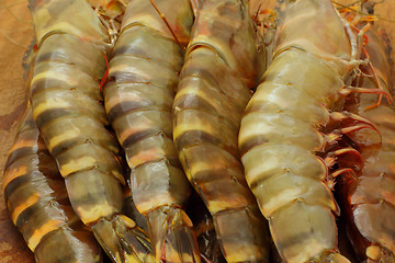 Image showing big fresh tiger prawns, king prawns, shrimp