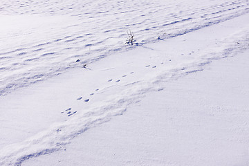 Image showing snowy landscape in the winter sun in France