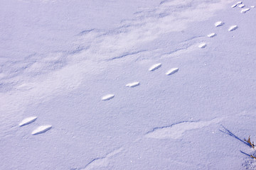 Image showing snowy landscape in the winter sun in France