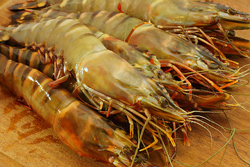 Image showing big fresh tiger prawns, king prawns, shrimp