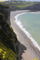 Image showing landscape, the cliffs of Etretat in France