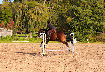 Image showing pretty young woman rider in a competition riding