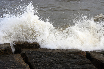 Image showing Ocean Waves