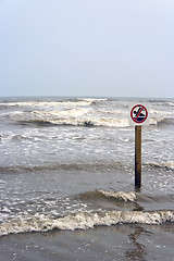 Image showing No Swimming