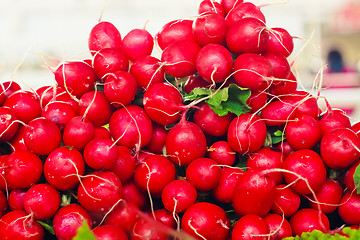 Image showing Farm Fresh Radishes on a market