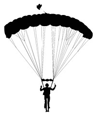 Image showing Skydiver