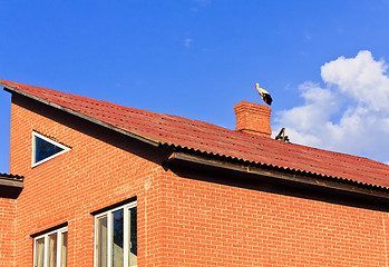 Image showing beautiful stork stand on roof